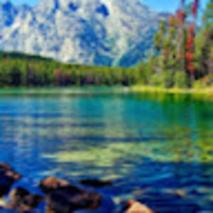 Meet your Posher, Gary